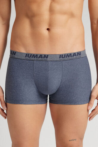 Μικροϊνών μποξέρ με λογότυπο