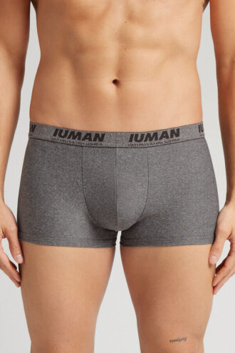 Μικροϊνών μποξέρ με λογότυπο