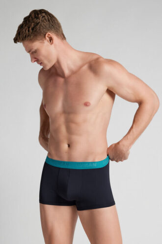 Μικροϊνών μποξέρ με λογότυπο