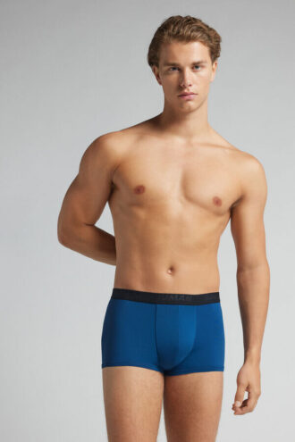 Μικροϊνών μποξέρ με λογότυπο